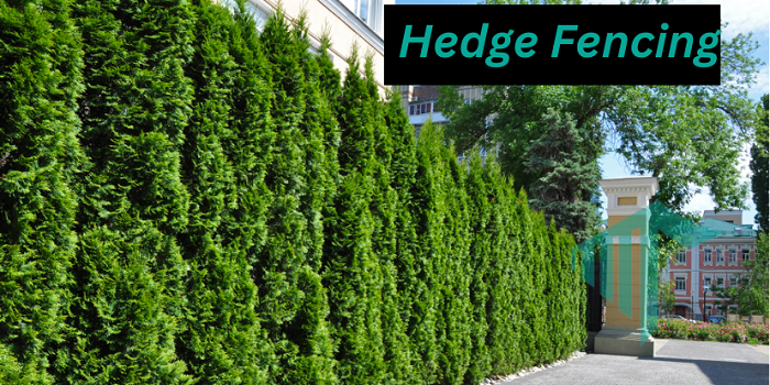 Hedge Fencing 