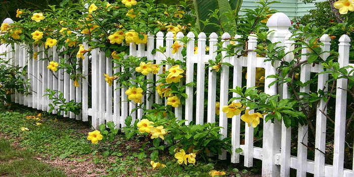 Understanding Picket Fences