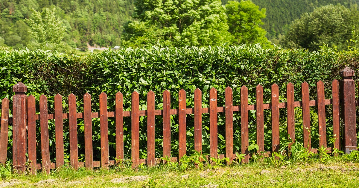 Common Problems with Wooden Fences and How to Fix Them