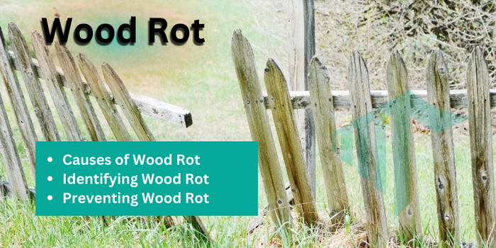 Wood Rot