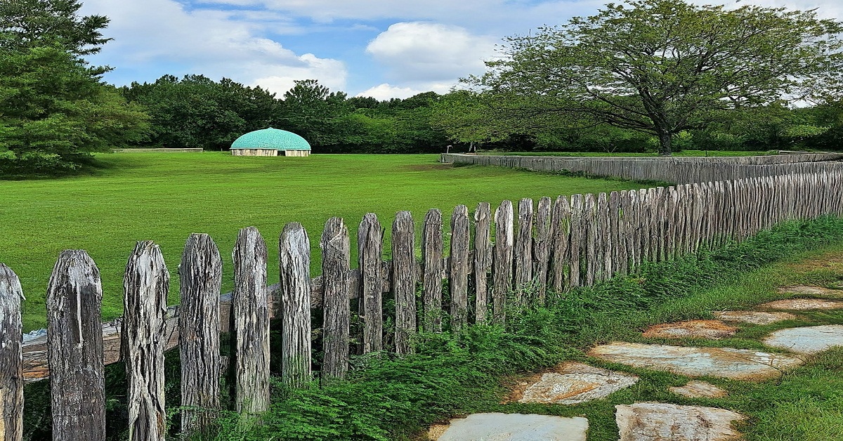 How Dome Fences Can Enhance Your Landscape Design