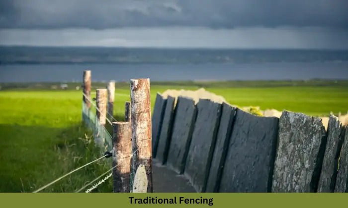 Dome Fences vs Traditional Fencing